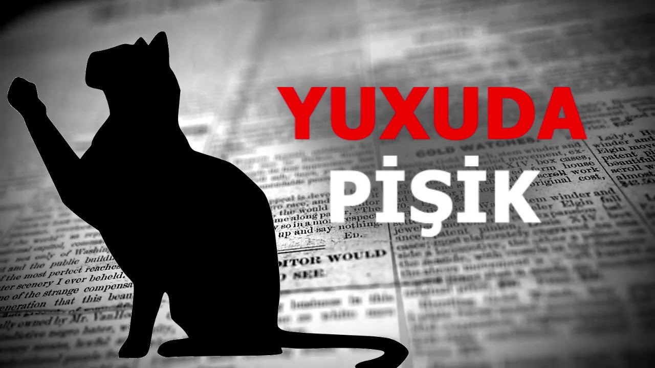 yuxuda-pisik-gormek-gorun-neye-isare-imis-yuxu-yozmalari-1729267827