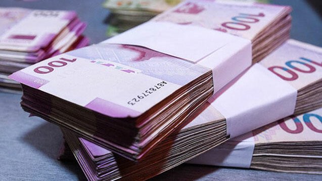 bu-sexslere-2600-manat-birdefelik-muavinet-verilecek-yeni-qanun-1739789670