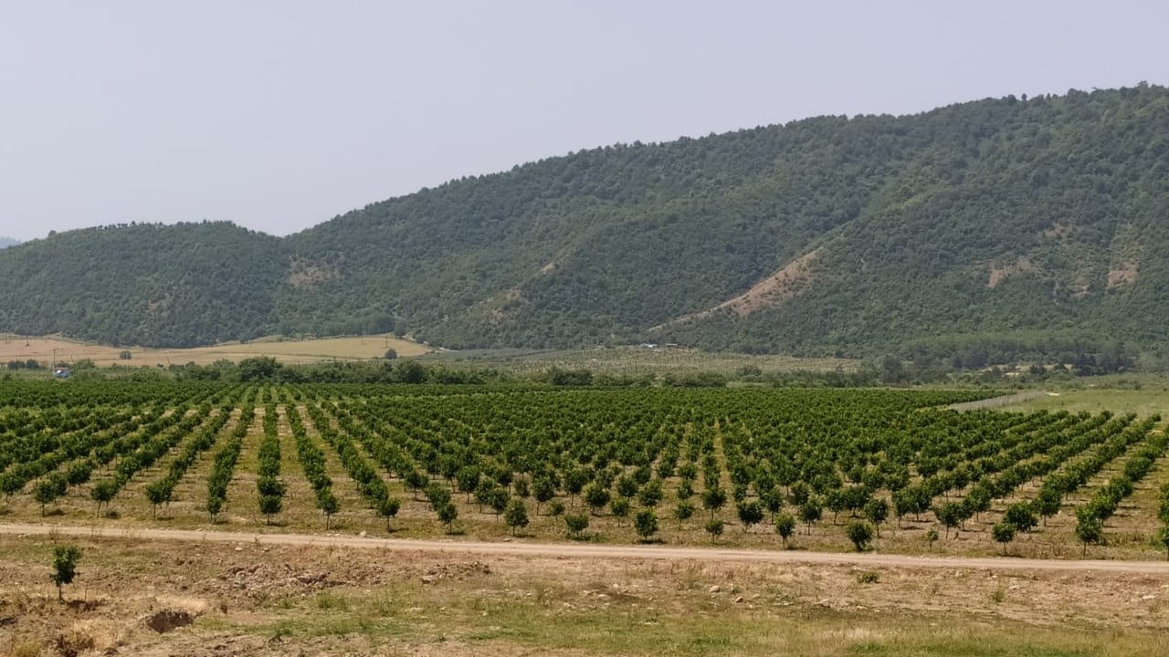 torpaq-sahelerinizi-satmayin-tezlikle-ele-bir-sey-olacaq-kinbsp-1740230670
