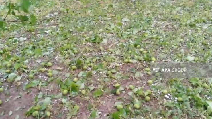 terterde-dolu-ciddi-fesadlar-toretdi-video-1746987312