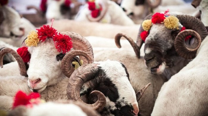 diqqet-qurban-bayrami-gunlerinde-bunlari-qetiyyen-etmeyin-1748269643
