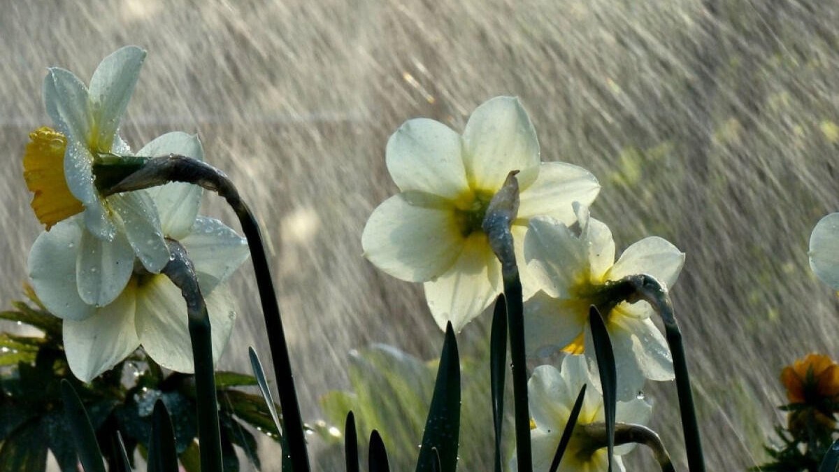 qeyri-sabit-hava-ne-vaxta-kimi-davam-edeceknbsp-1750666008