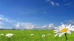 sabah-36-derece-isti-olacaq-1750928584