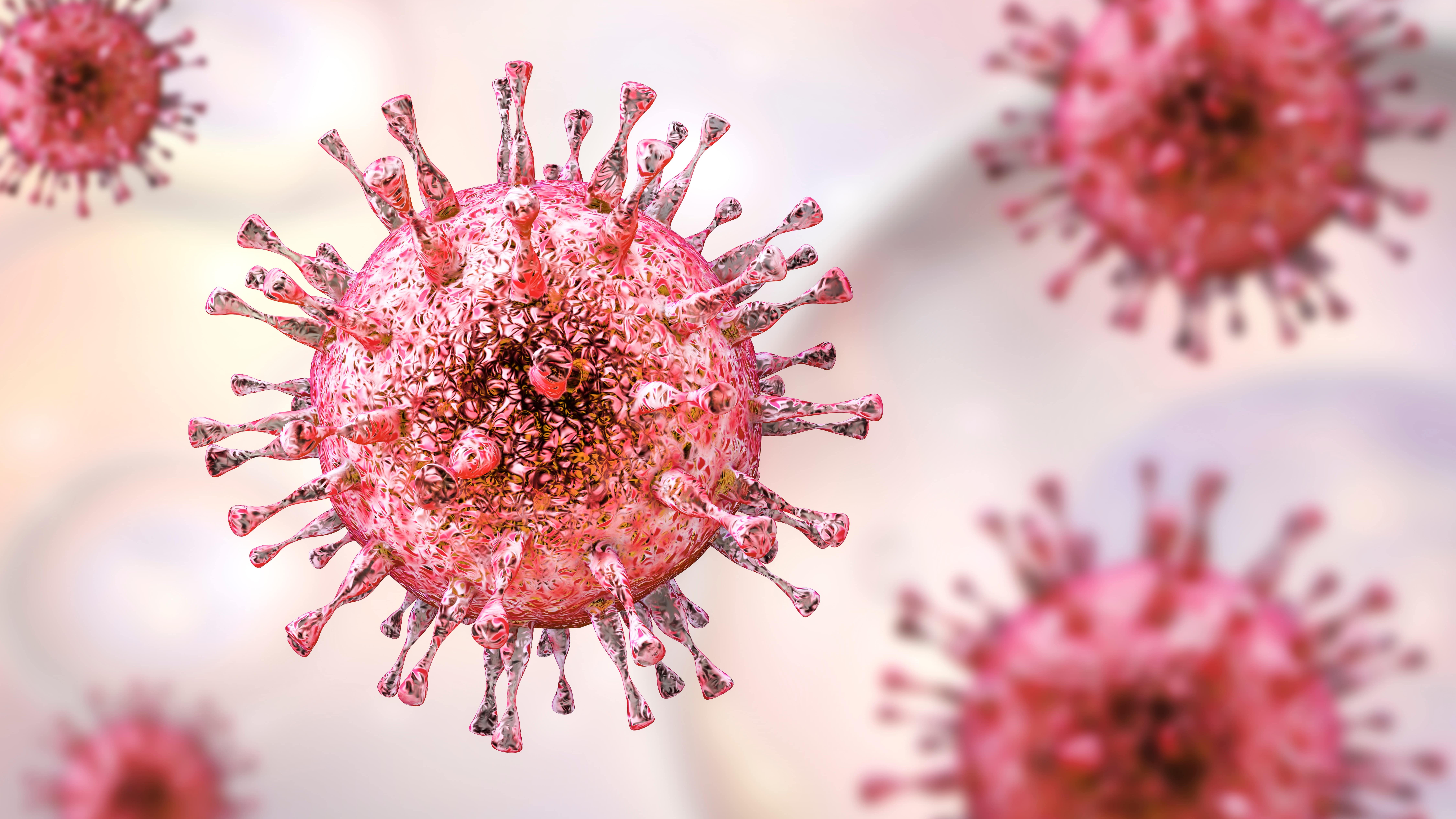 vetendaslarin-nezerine-son-gunler-yayilan-virus-koronavirusun-yeni-novudur-video-1751623592