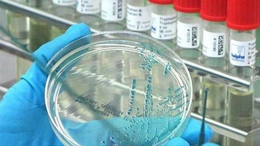virus-hele-de-bizimledir-sehiyye-nazirliyi-xeberdarliq-edirnbsp-1751628324