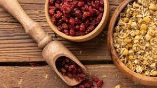 mutexessis-mesleheti-edviyyatlarla-ehtiyatli-olun-1753544050