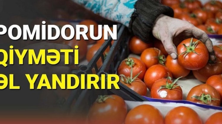 azerbaycanda-pomidor-niye-bahadir-1753597874