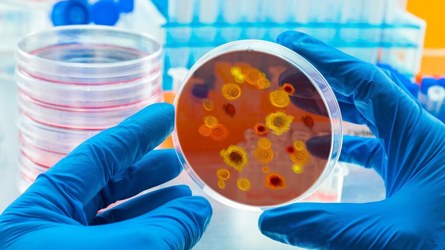 alimler-neheng-virus-tapdilar-gorun-quyrugu-ne-boydadir-1753885009