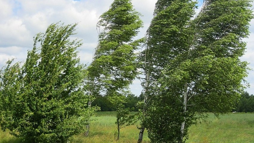 sabahdan-kulek-guclenecek-bu-tarixedek-davam-edecek-1754581036